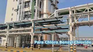 Cloruro de paraclorobencilo - Changzhou Xindong Chemical Industry Development Co., Ltd.